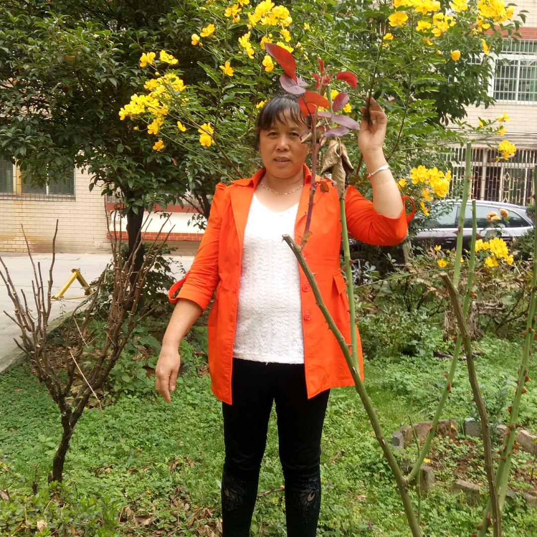 开心过好美天，