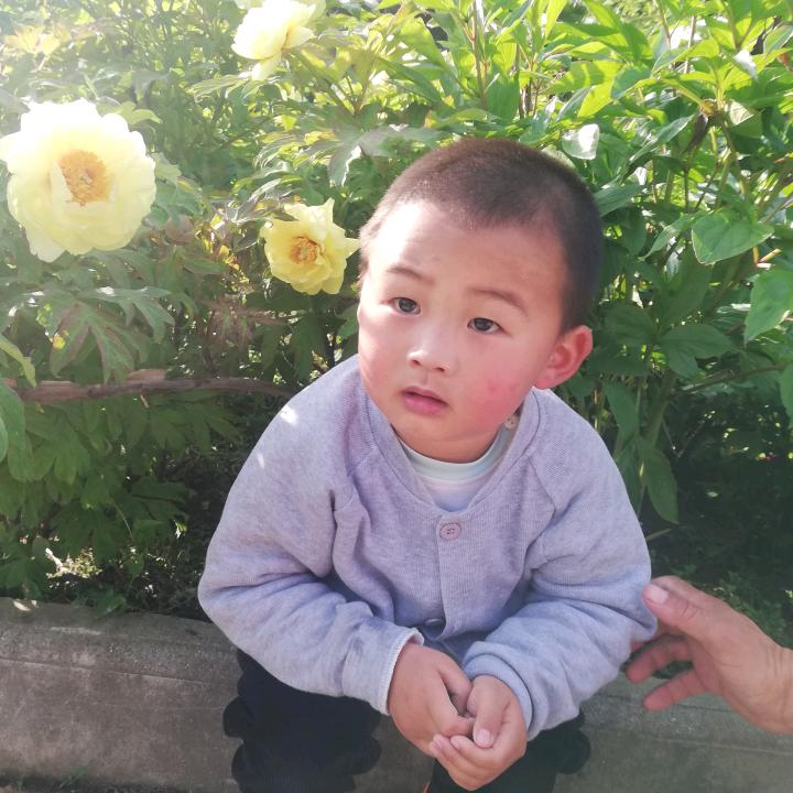 一往情深