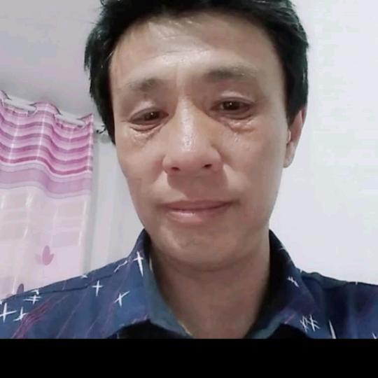 草原飞鹰，专业收牛卖种牛