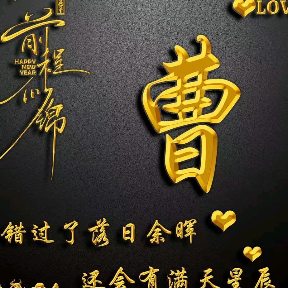 骑上蚂蚁追飞机