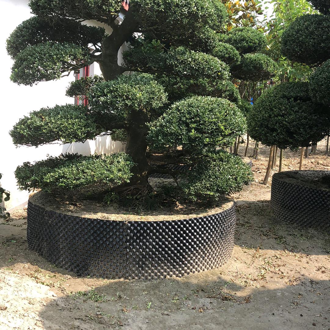 南通姐妹园林绿化有限公司