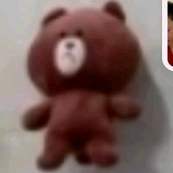欢乐熊🐻