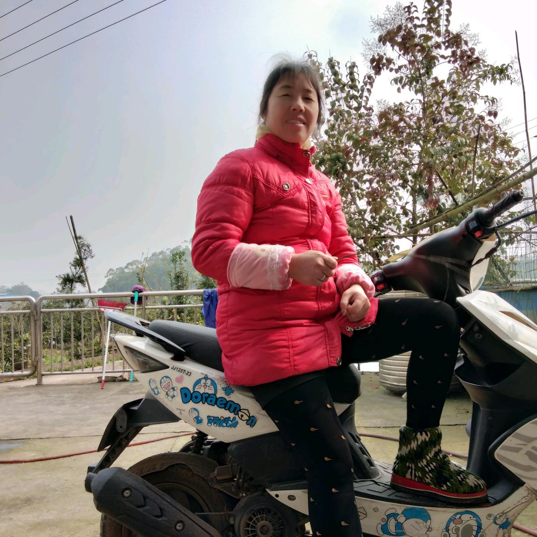 小雷y