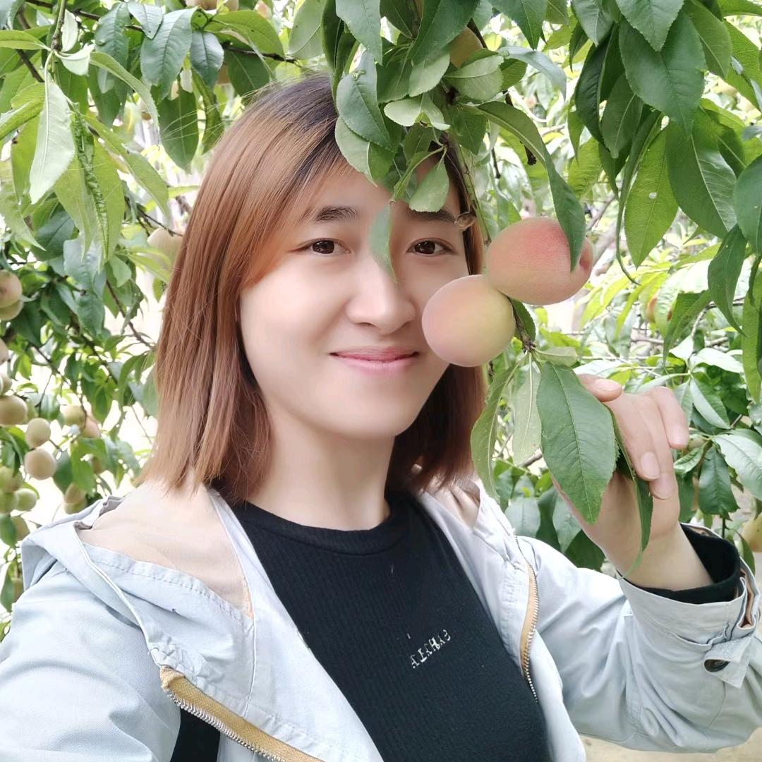 承诺的谎言（蔡）