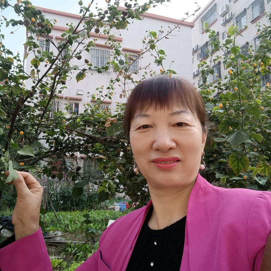 段姐，一生平安🌹