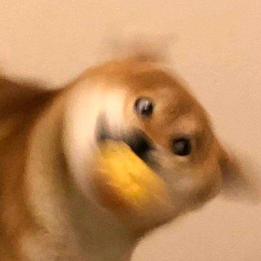 陌路