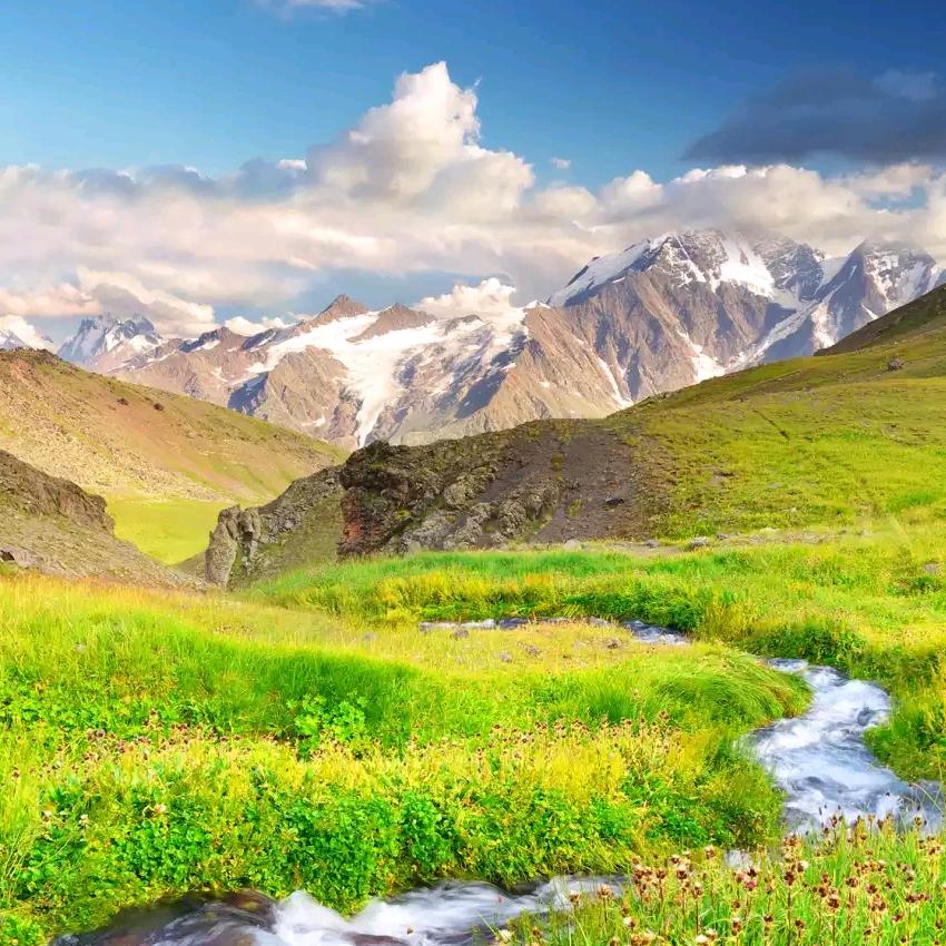 🐽   金银角大王℘࿐