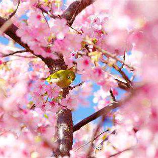 用户2826704802636热干面