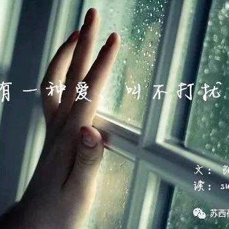 白天不懂夜的黑