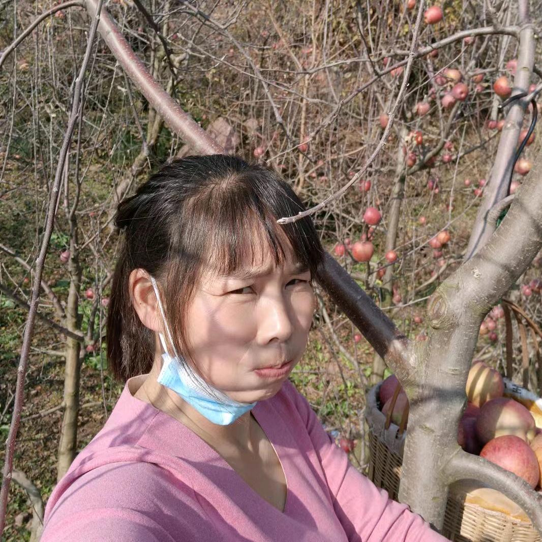 果大娃