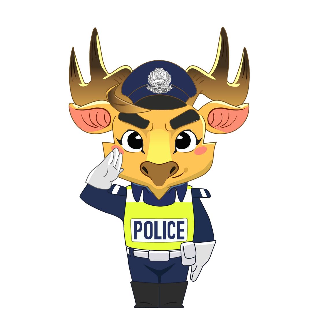 邯郸交巡警