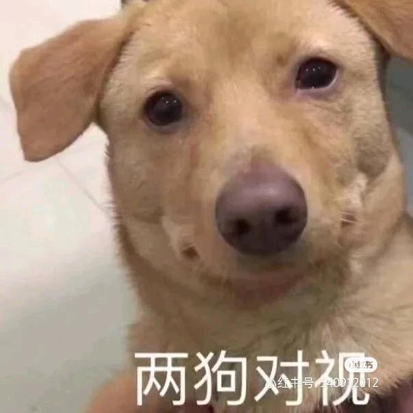 最是无瑕头像