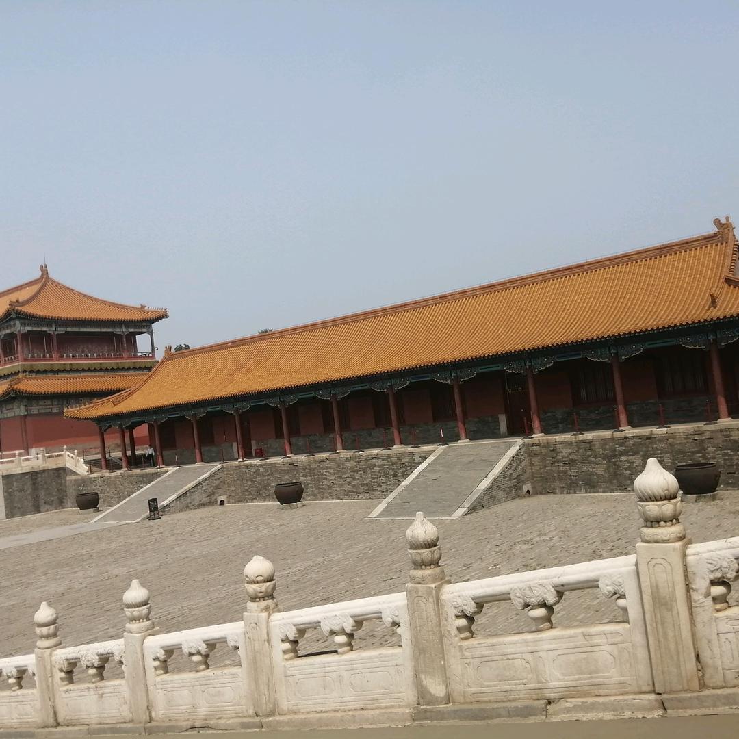 老通城2008