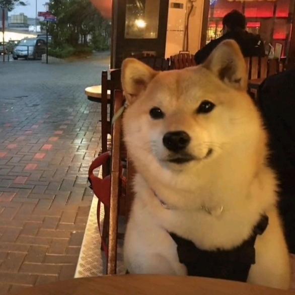 🌈躲在月老身后