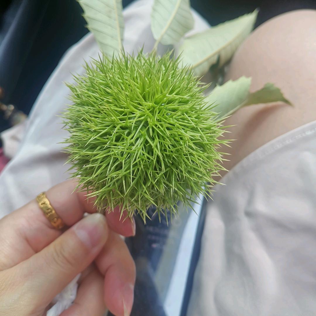 珍惜缘份🔥