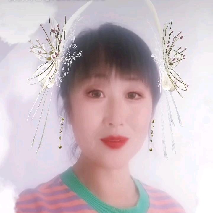 有华元宝