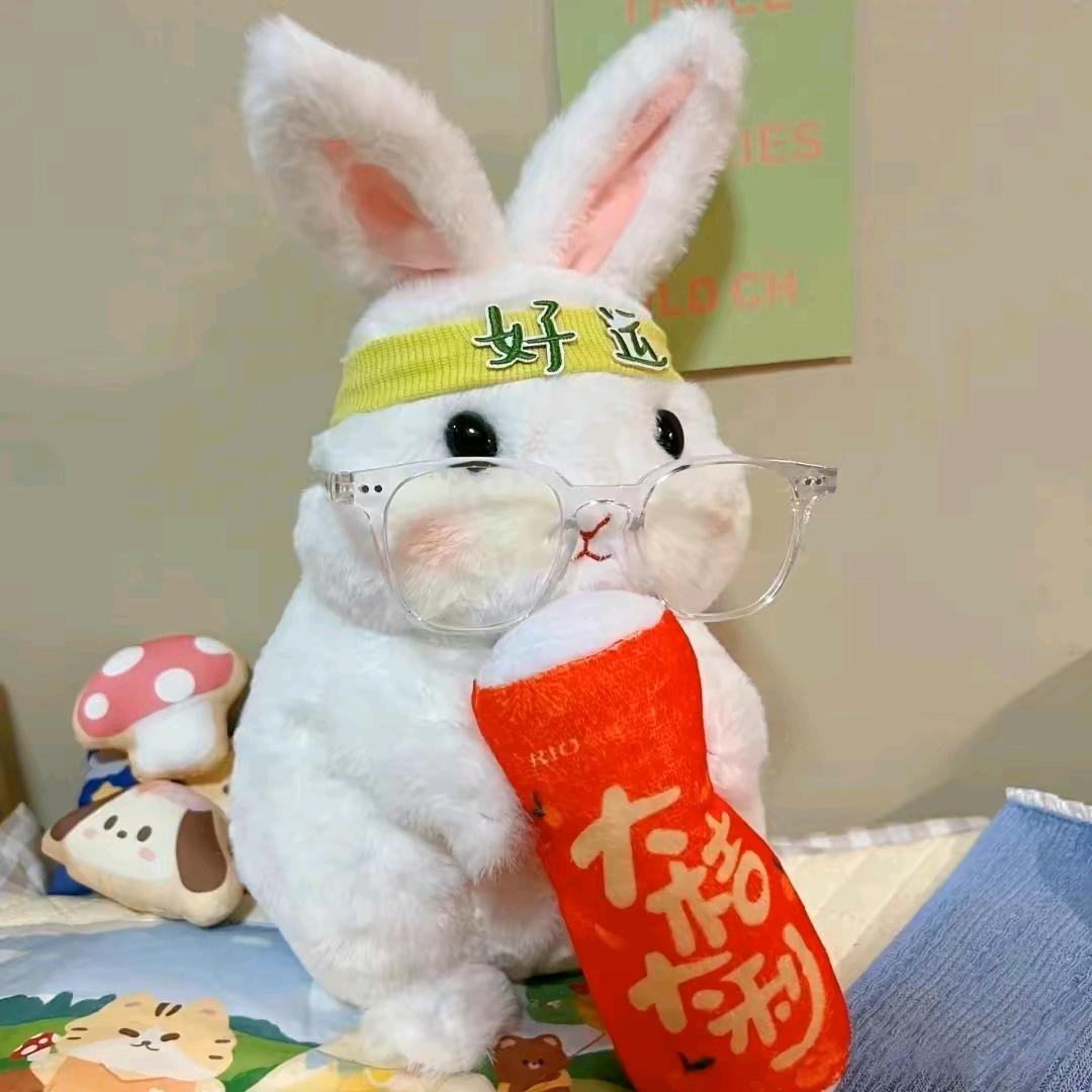 汪崽是条猪儿虫