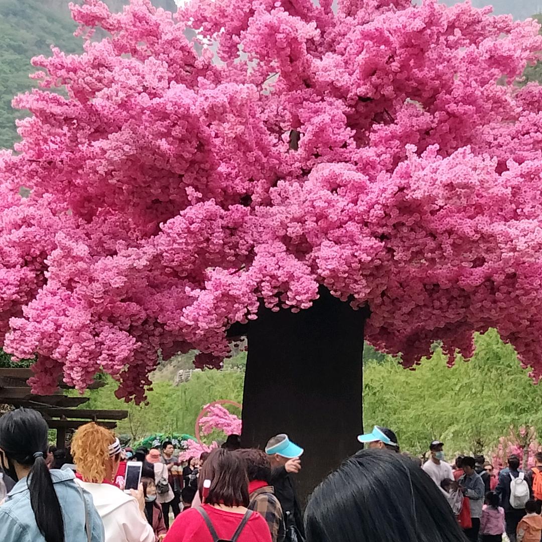 顺顺当当