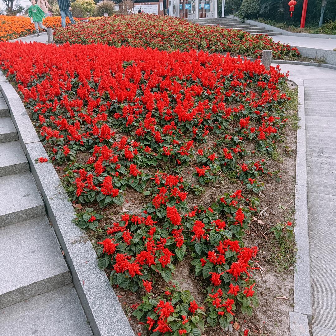建设
