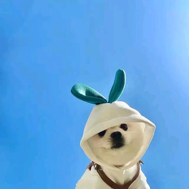 鱼香肉丝辣椒酱