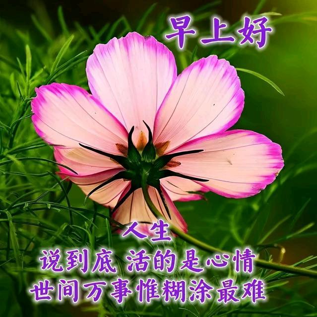 宁静而致远