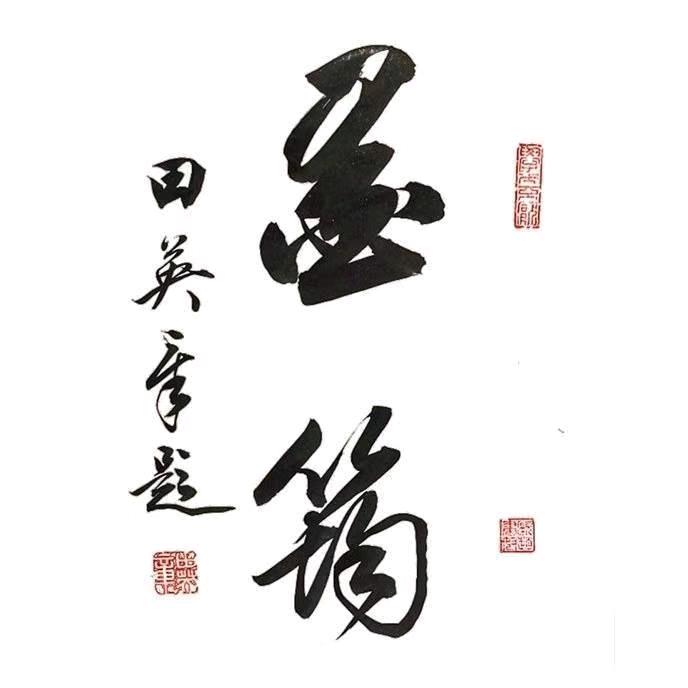田楷爱好者