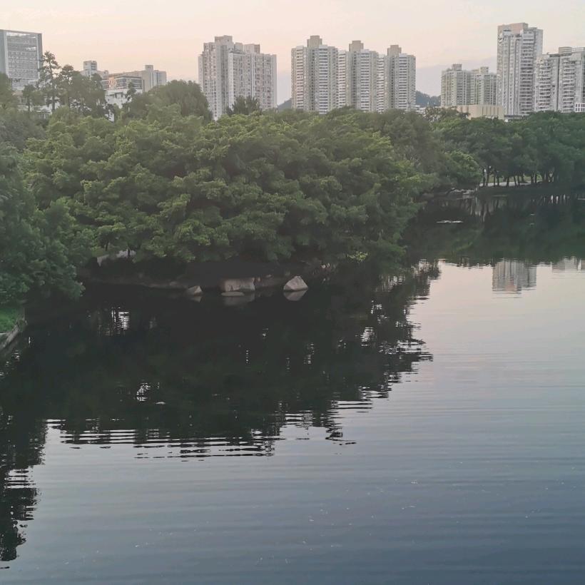 相约同城