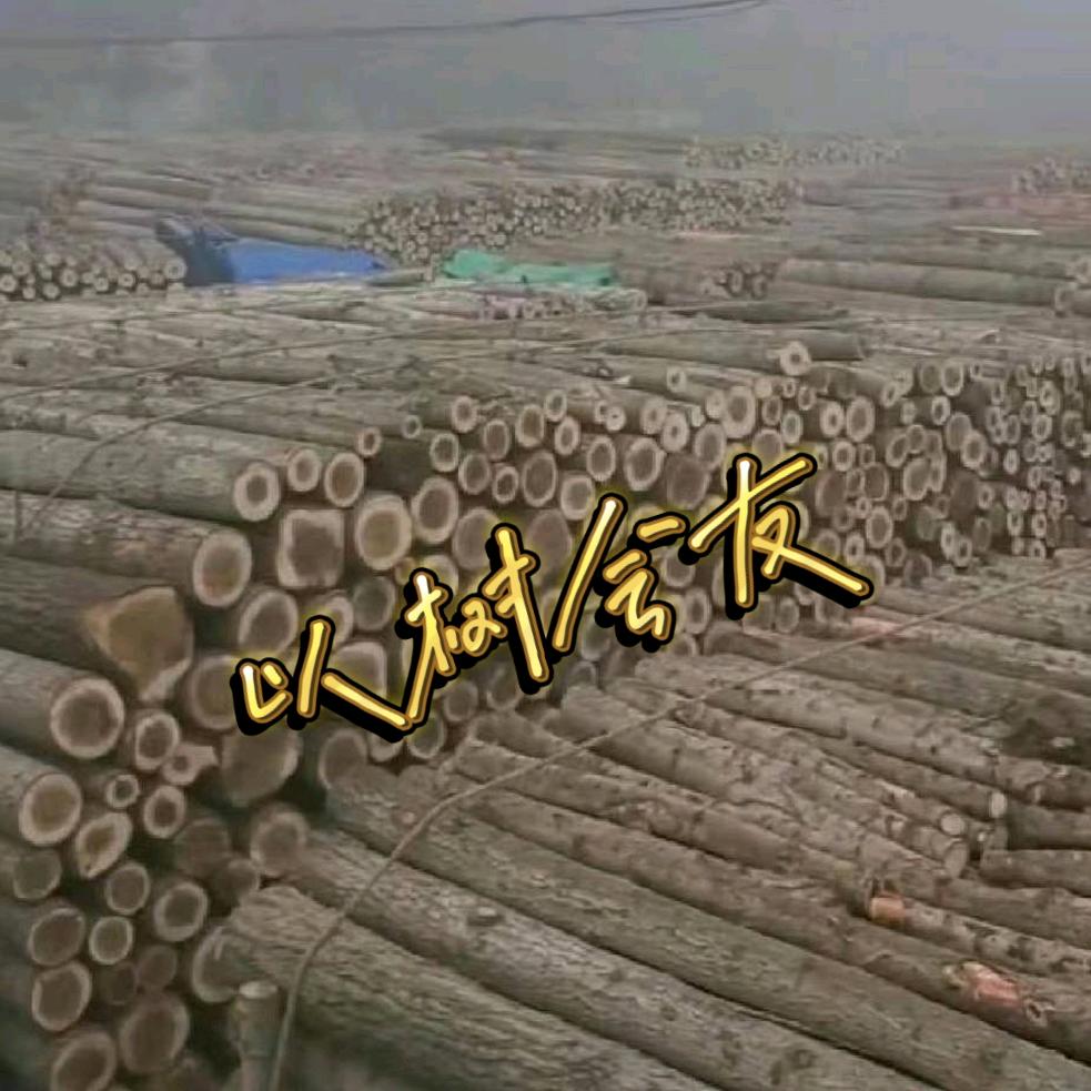 耿冬林(承接批量树木砍伐)