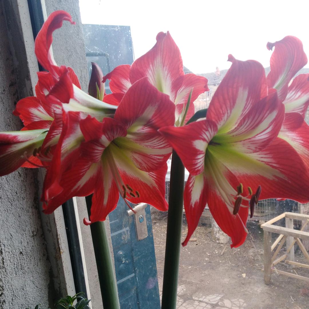 手机用户70883960557