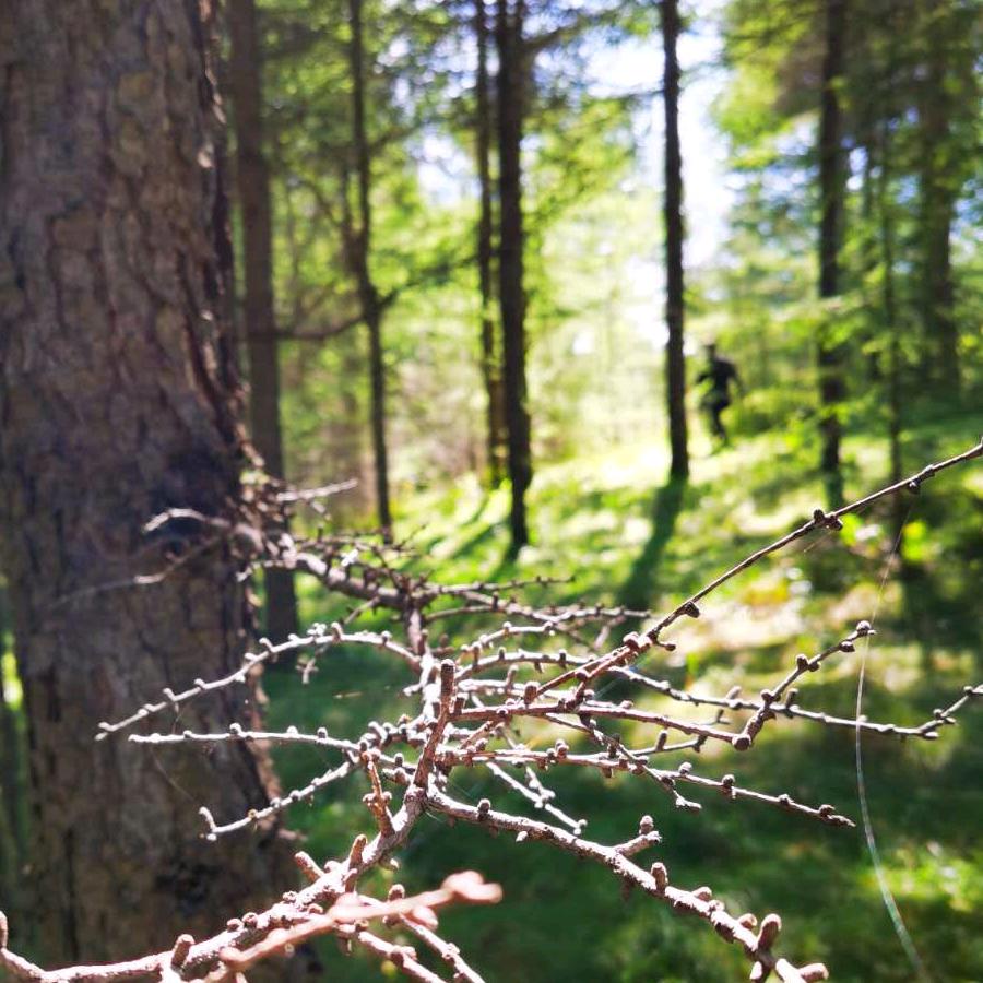 你就说O不OK吧^_^