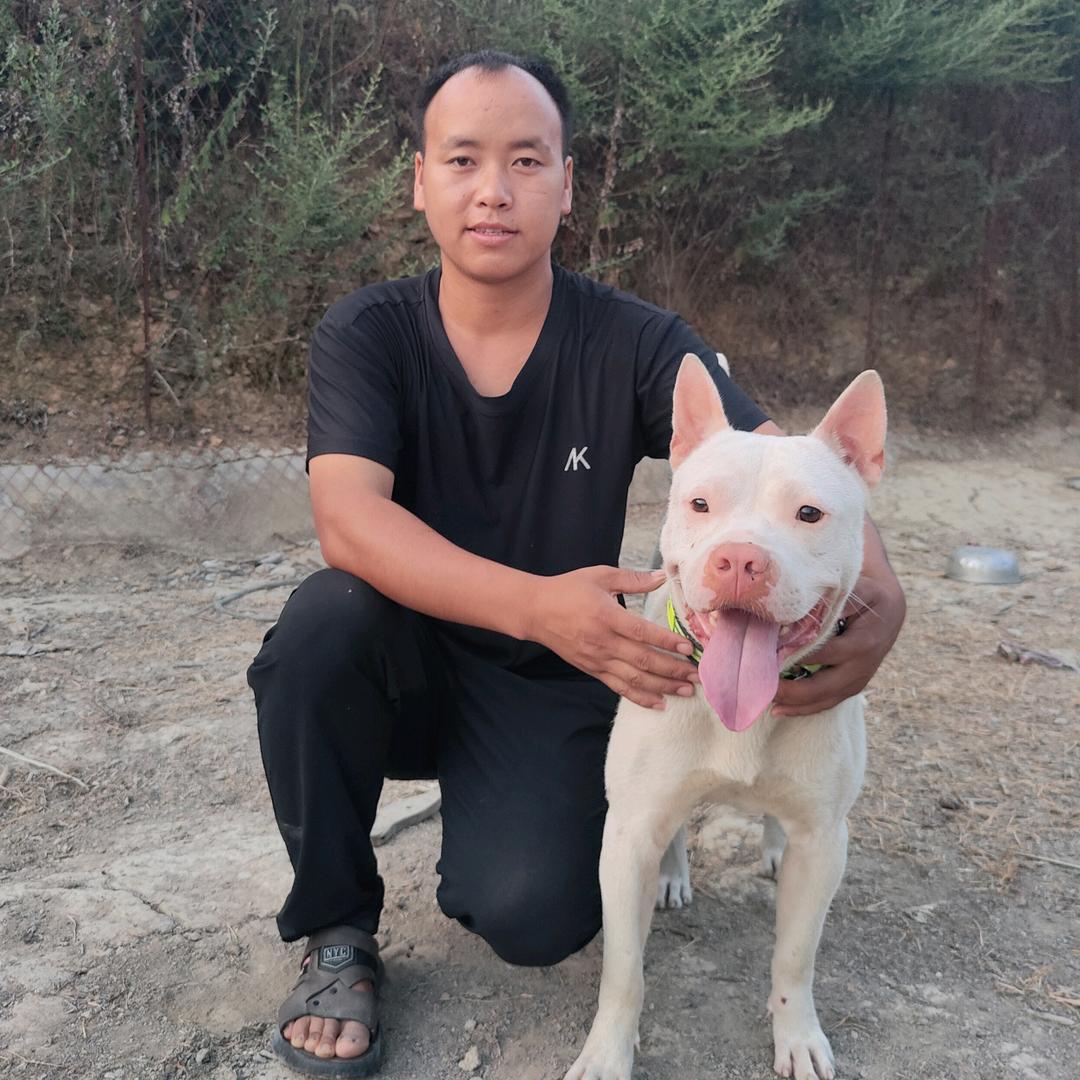 凯里市小潘下司犬