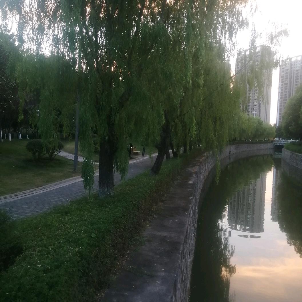 余生！！！若安