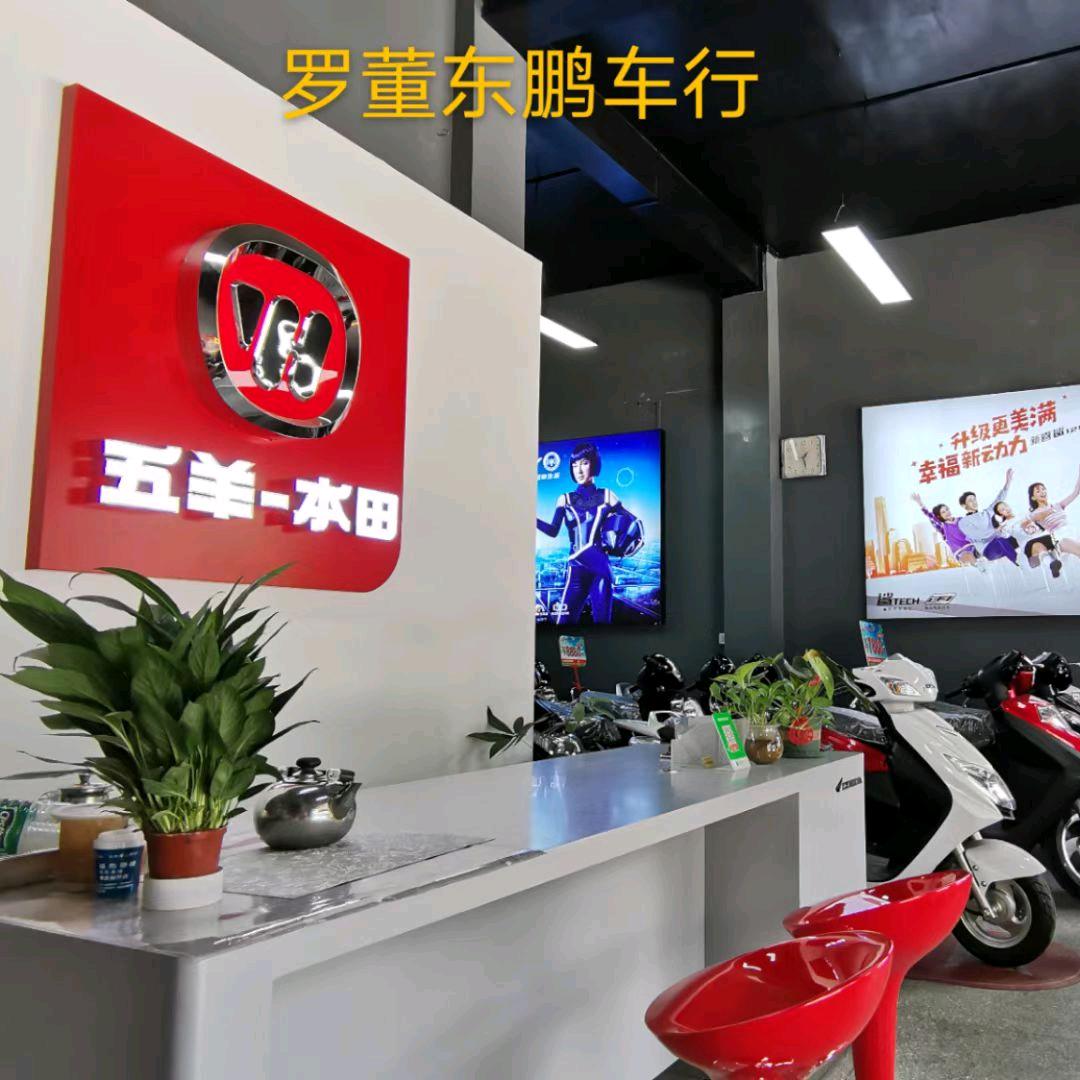 罗董东鹏  （莫）