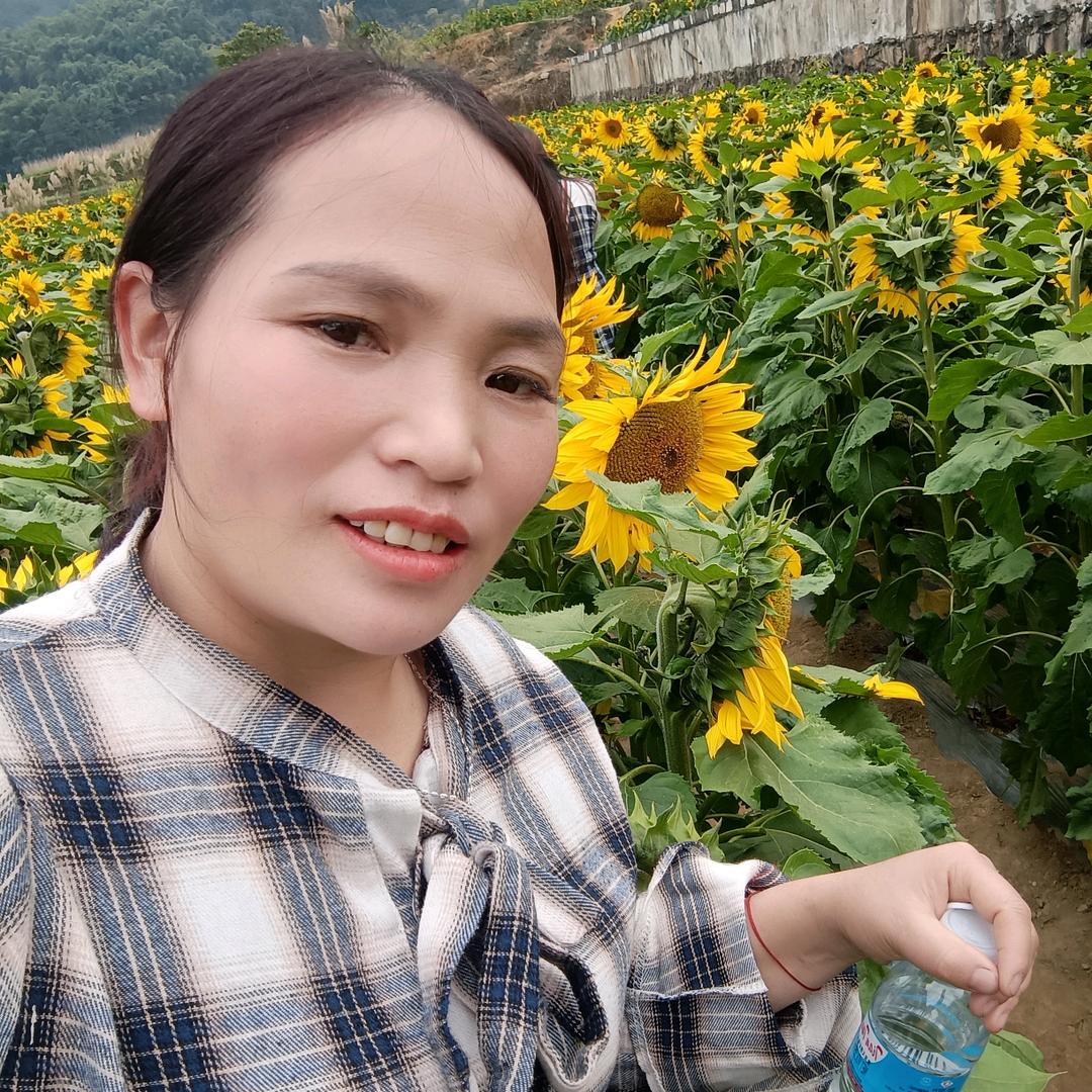聪妹