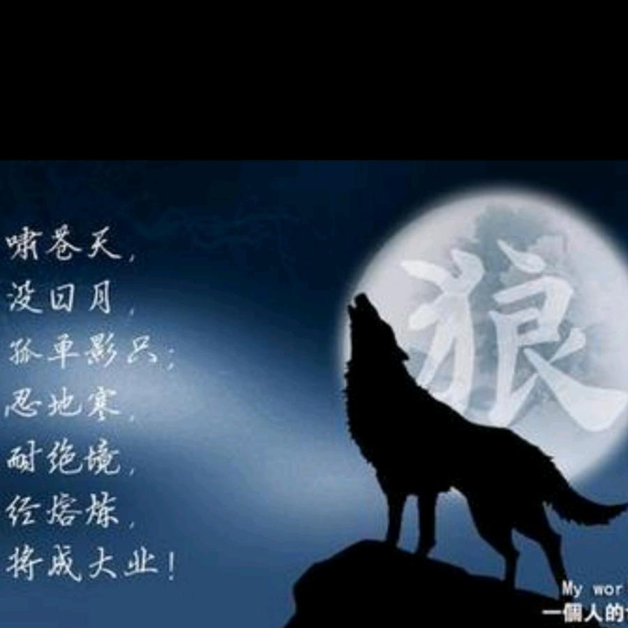 云南～疯狼