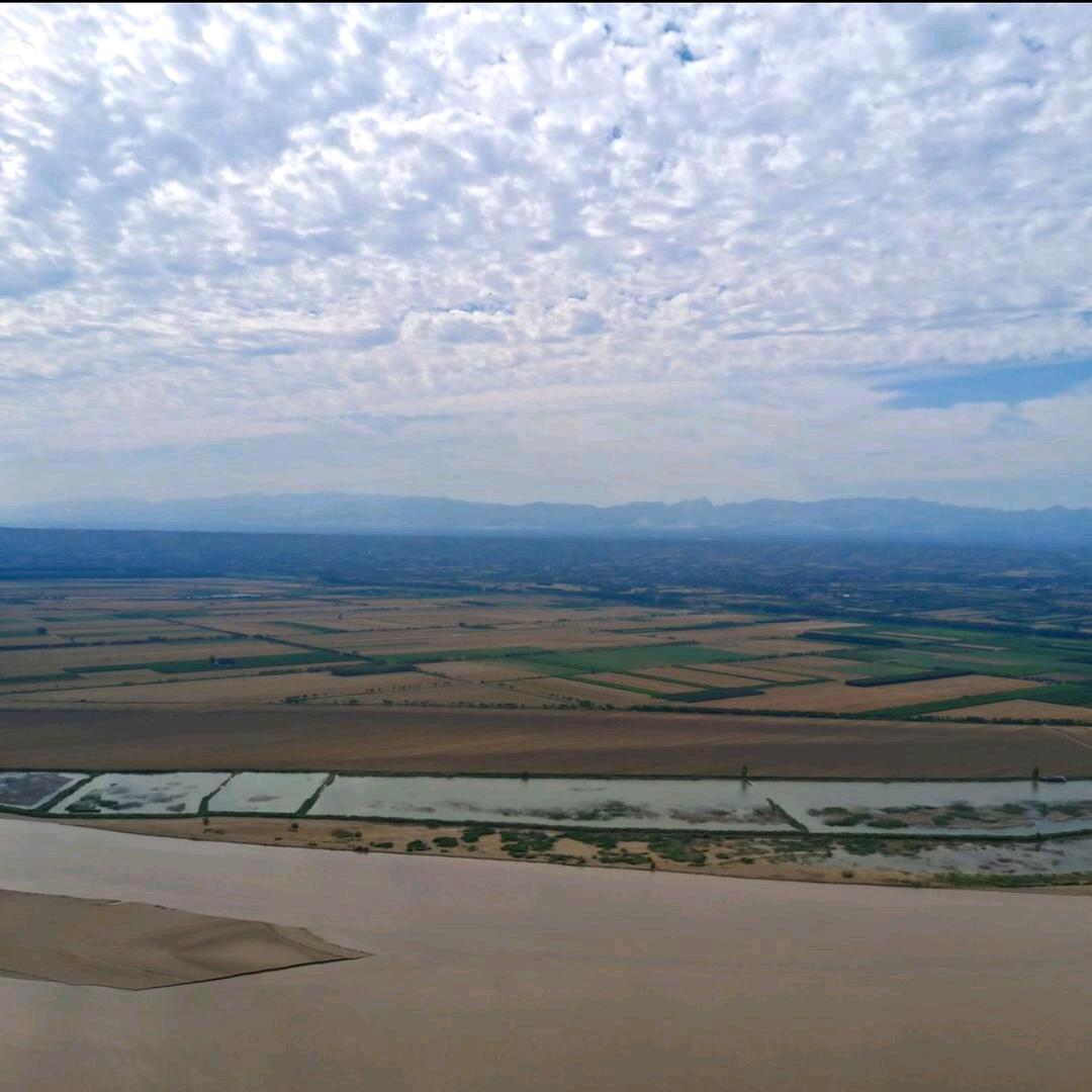 陈杰