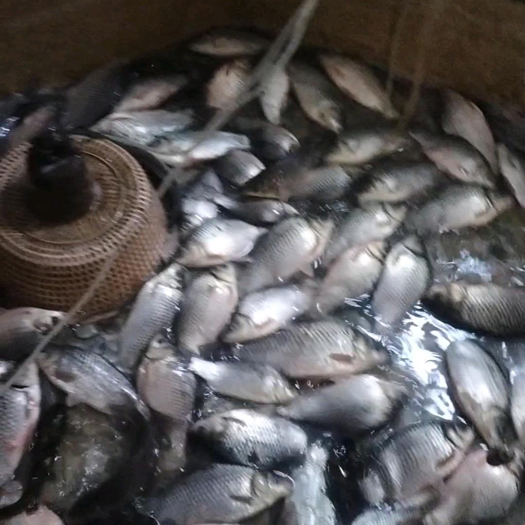 开心每一天，实在