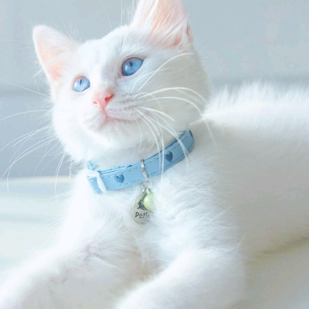 瑞🌟୧⍤⃝ 🍭