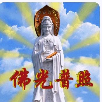 一🌸一世界，一叶一如来