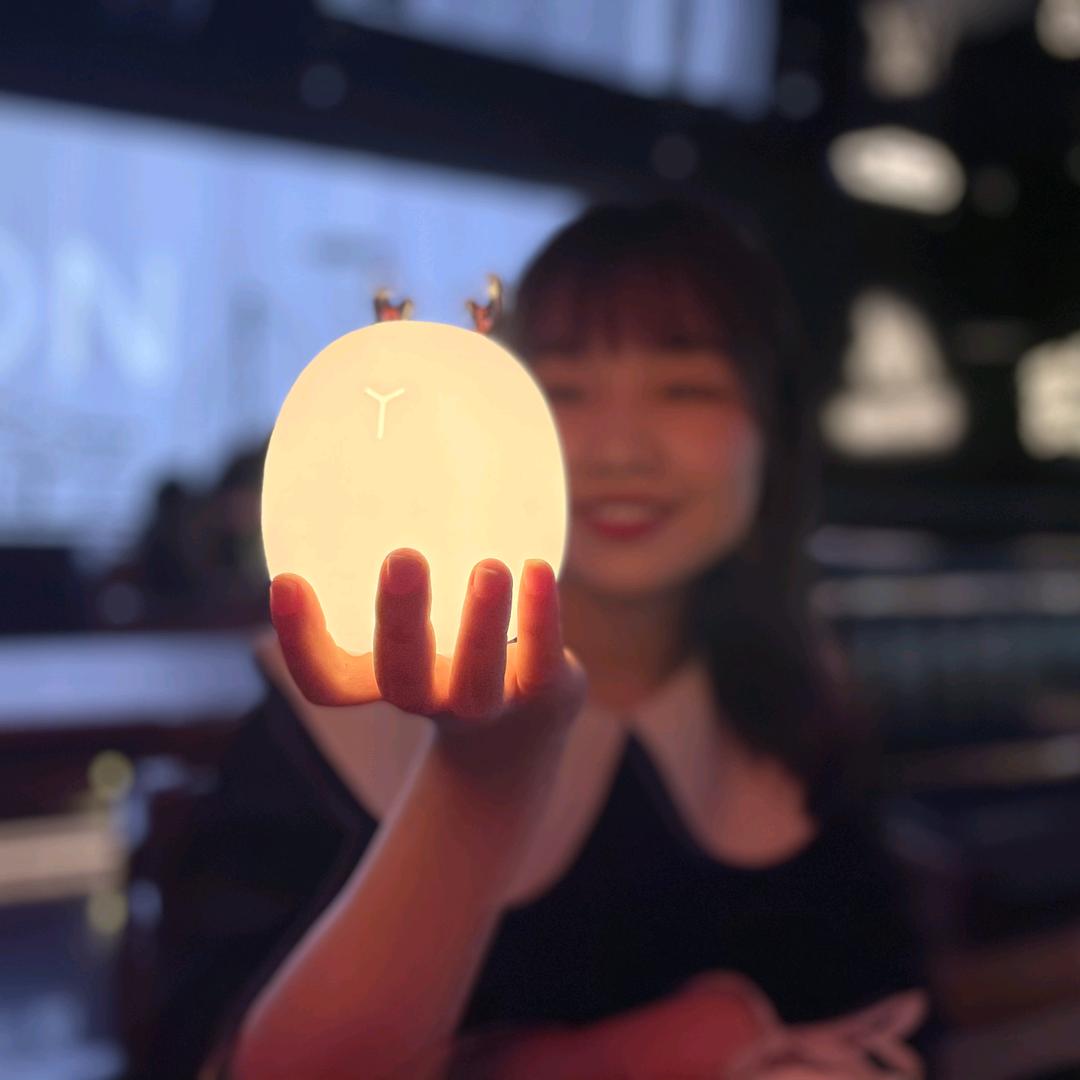 豆芽豆芽你快长