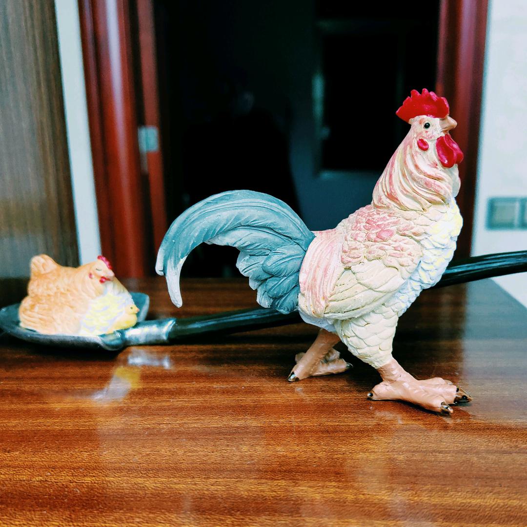 罗清辉