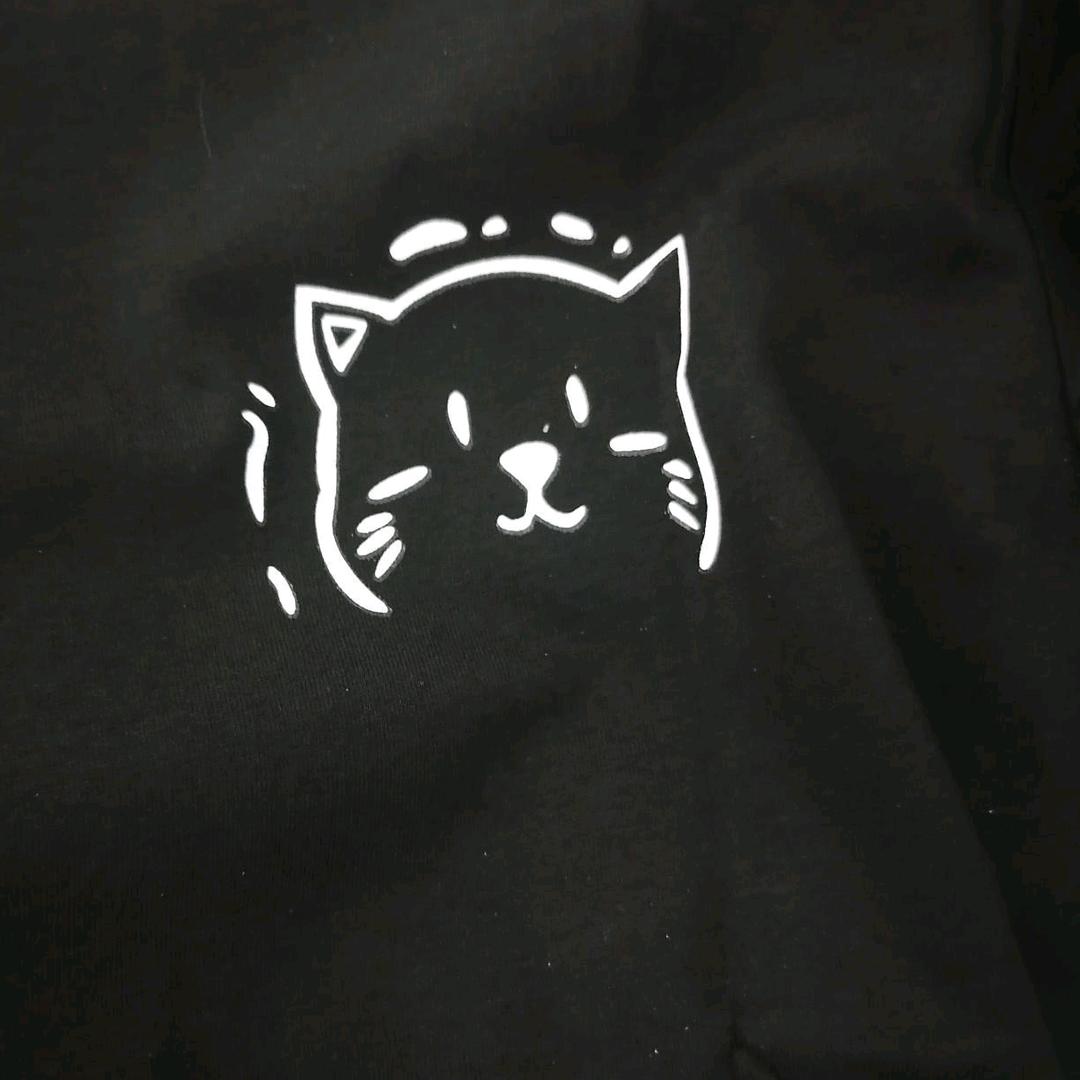 小抖猫