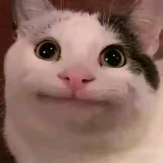 怡××