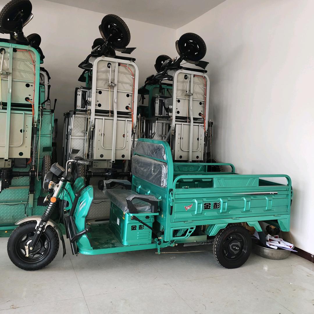 金彭电动三轮车（小城店）