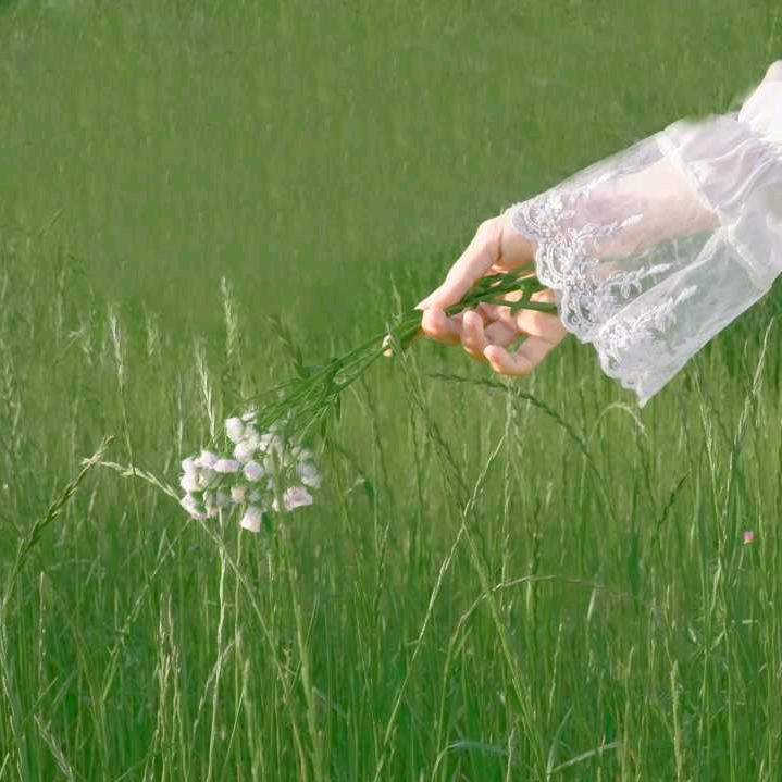 🦋 এ᭄莲 💞࿐ᩚ