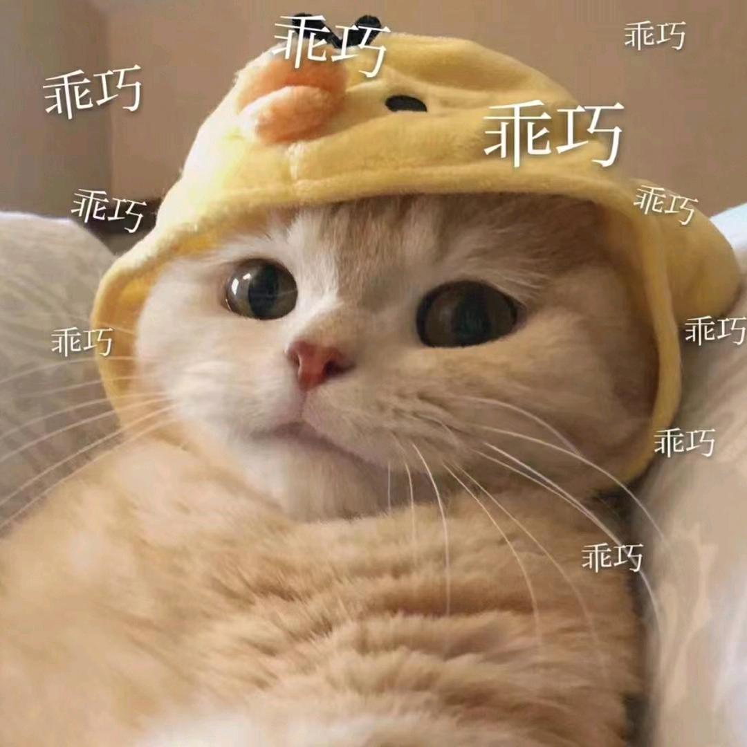 我像只鱼儿在你的荷塘