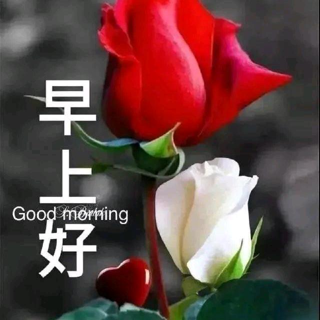 风儿