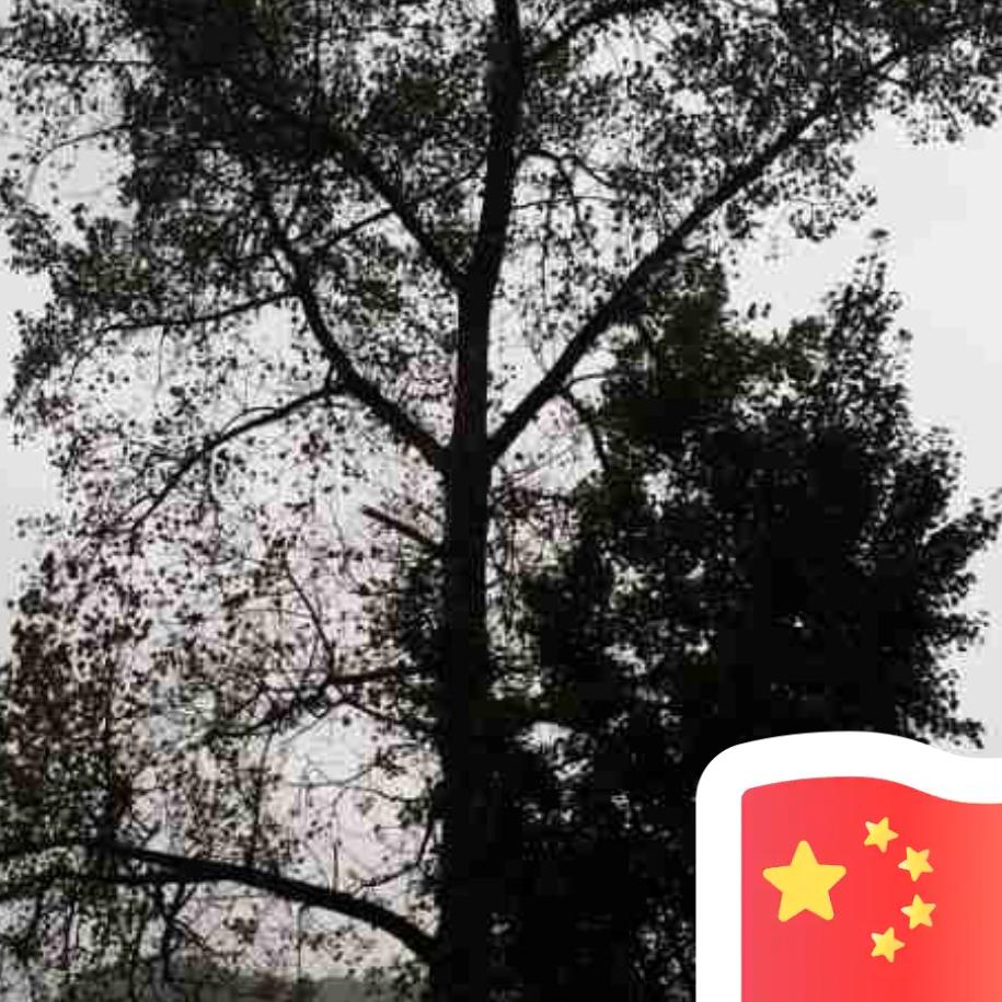 付应忠