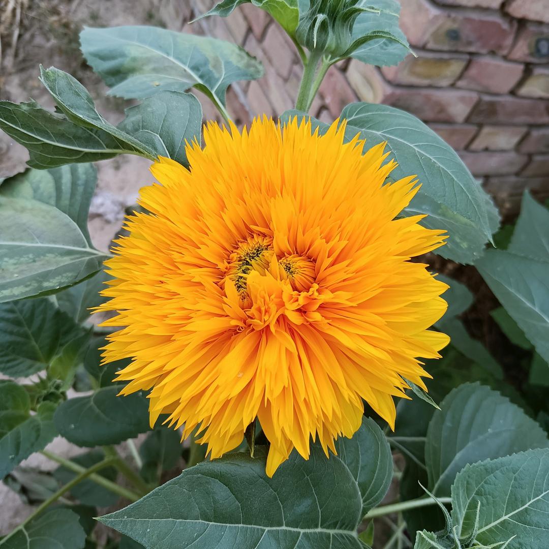 小吵小闹小幸福_21