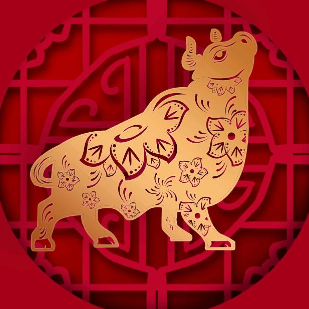白微我能近